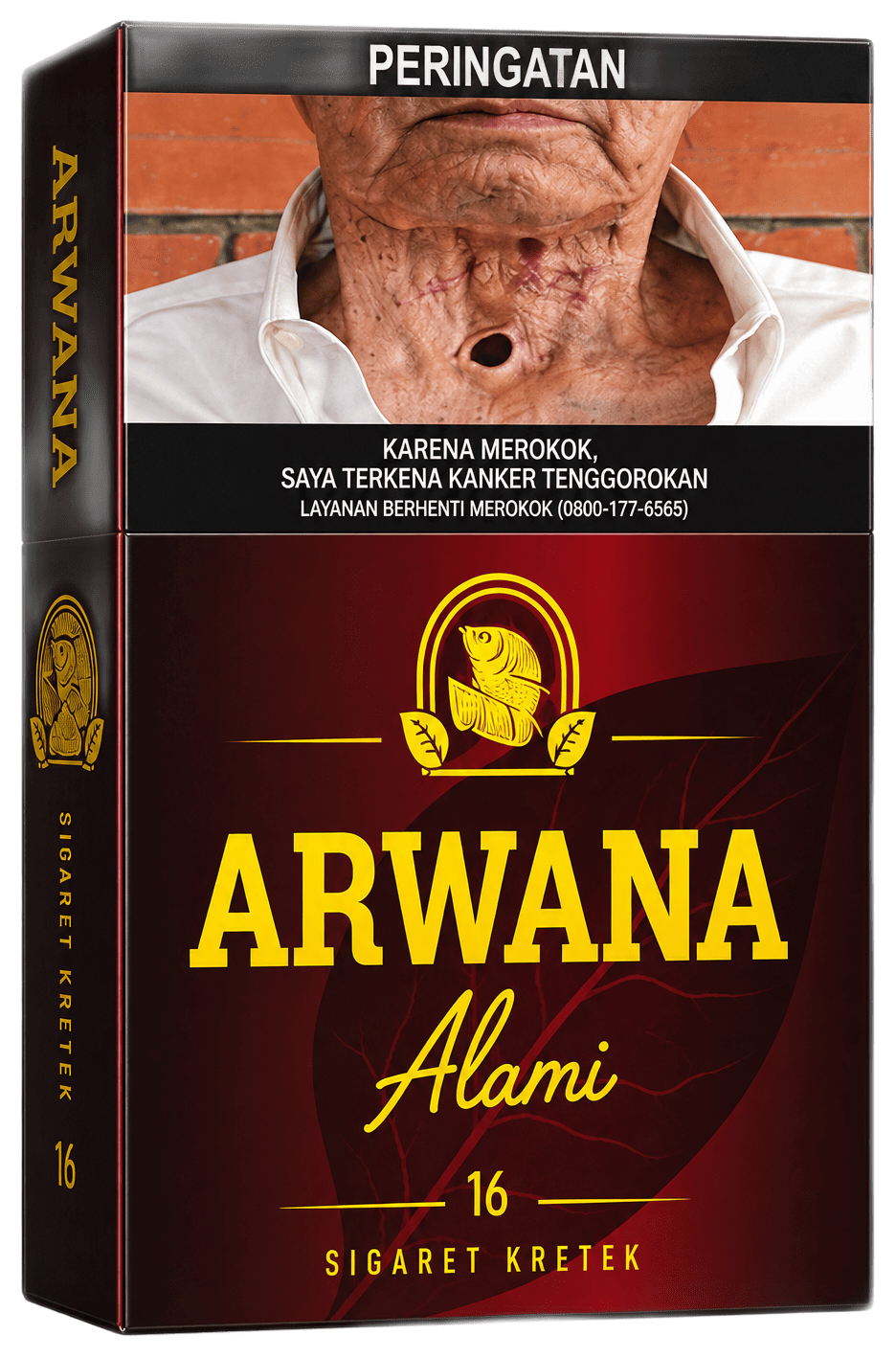 Arwana Alami 16